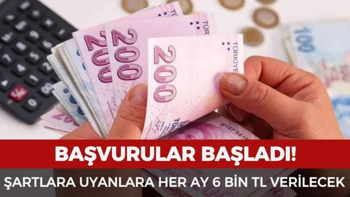 Aylık 6 Bin TL Sosyal Destek İçin Başvurular Açıldı: Kimler Alabilecek? (e-Devlet)
